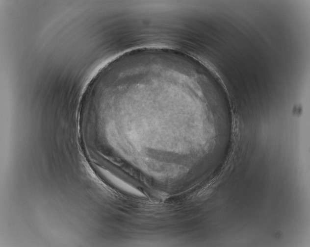 X0000114560935200911091215