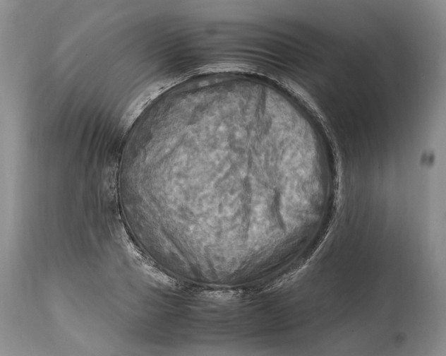 X0000114560937200911091215