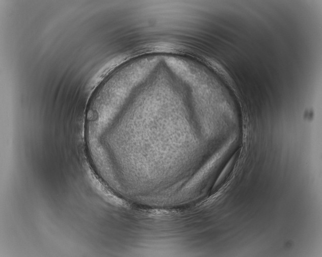 X0000114560938200911091215