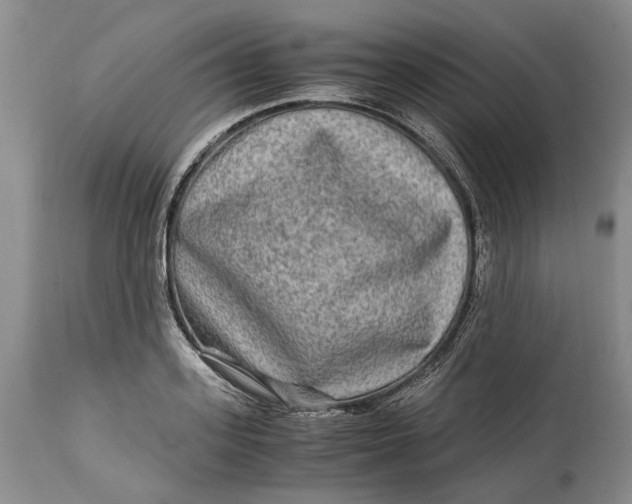 X0000114560939200911091215