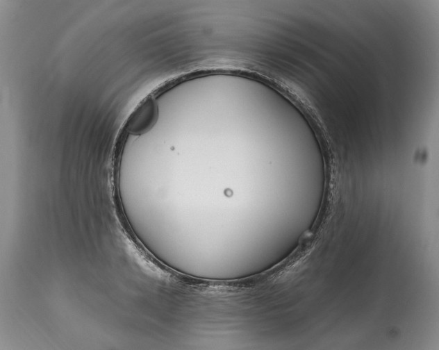 X0000114560942200911091215