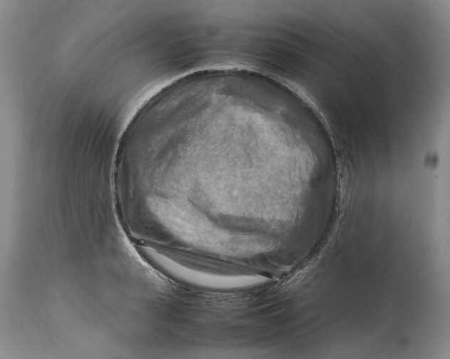 X0000114560943200911091215