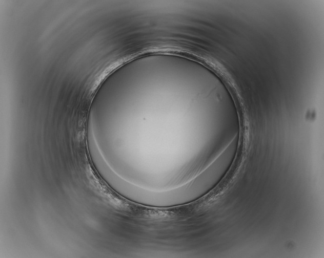 X0000114560945200911091215