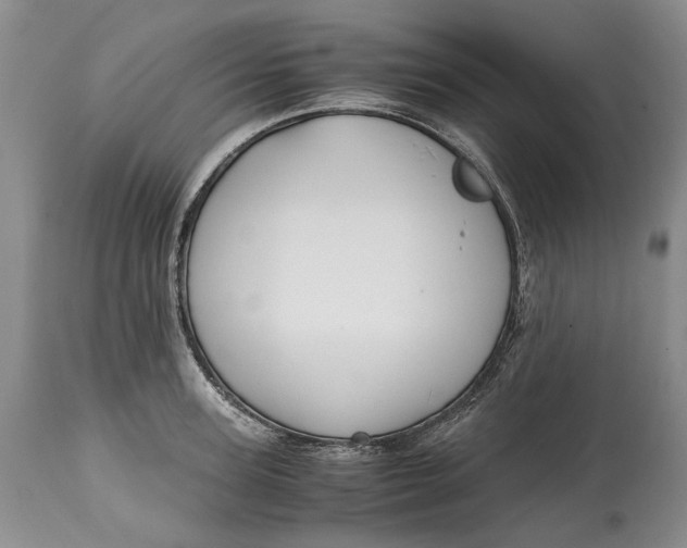 X0000114560947200911091215
