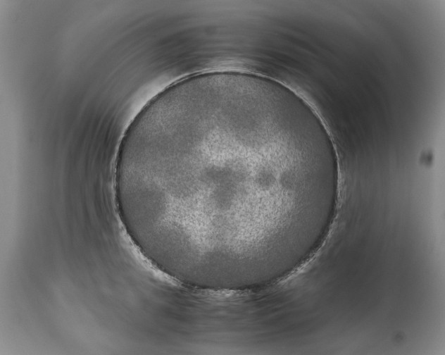 X0000114560949200911091215