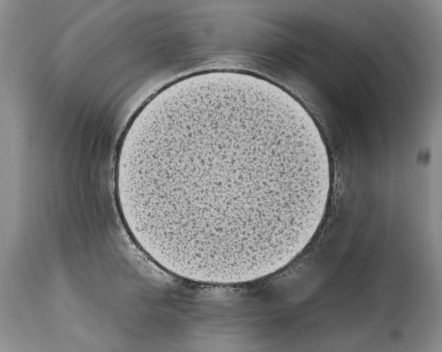X0000114560950200911091215