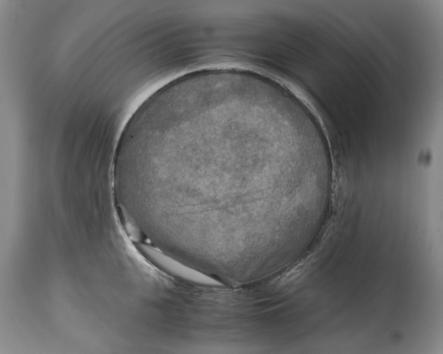 X0000114560951200911091215