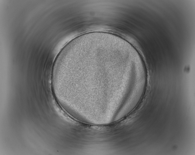 X0000114560954200911091215