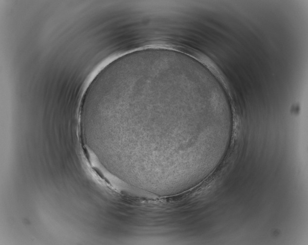 X0000114560955200911091215