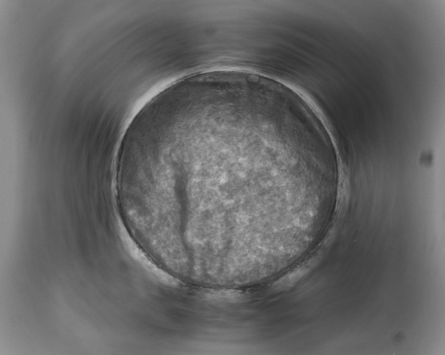 X0000114560957200911091215