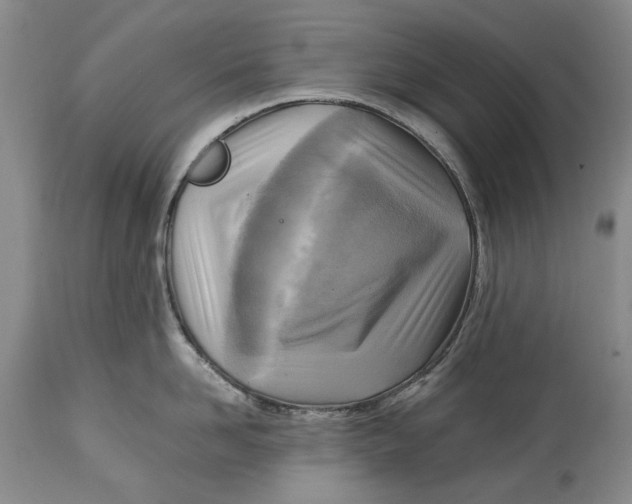 X0000114560958200911091215