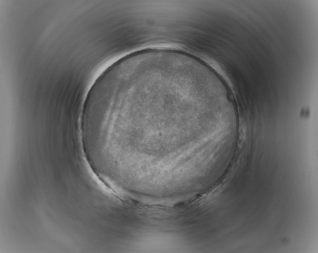 X0000114560959200911091215