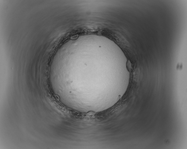 X0000114560961200911091214