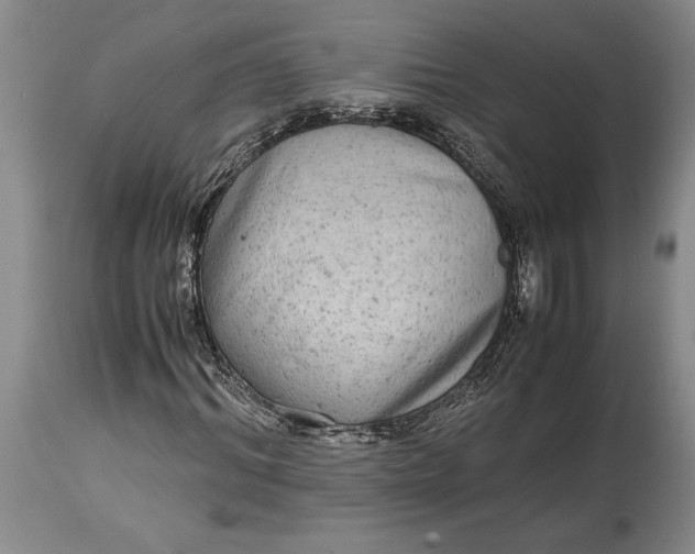 X0000114560964200911091214