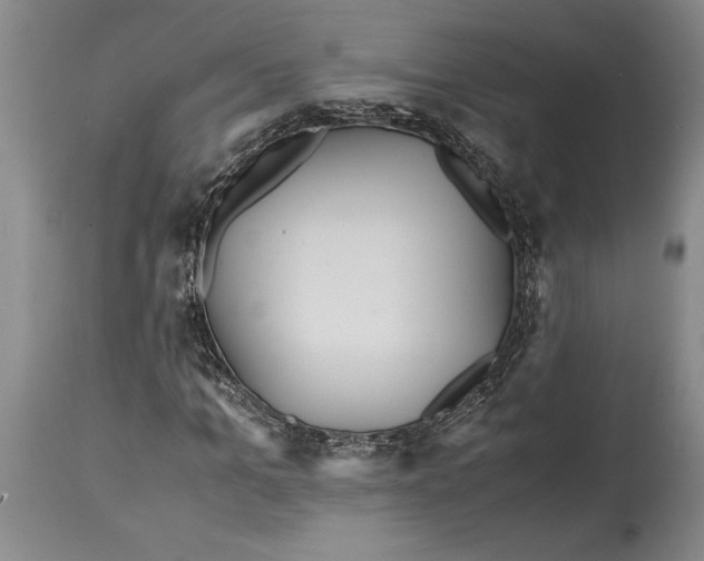 X0000114560965200911091214
