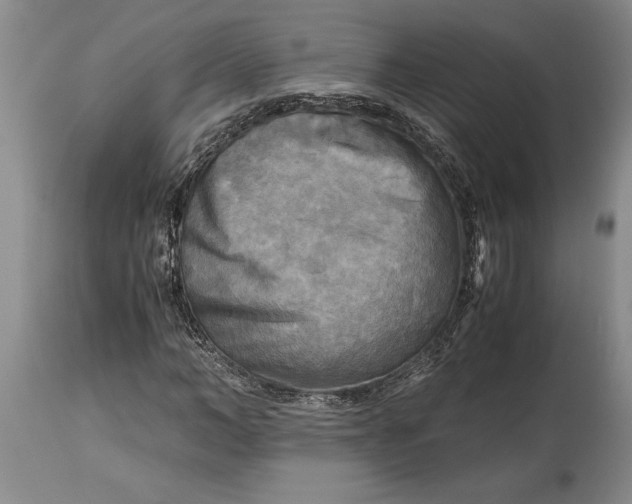 X0000114560966200911091214