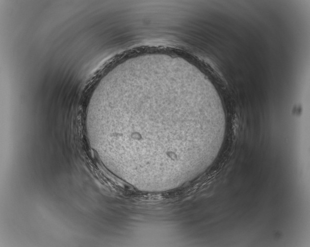 X0000114560968200911091214