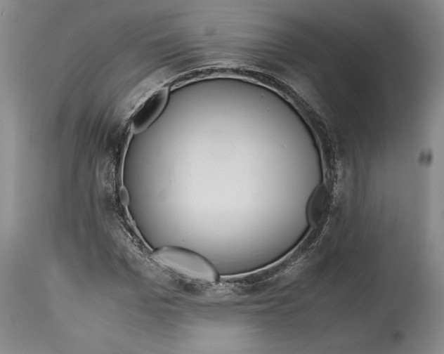 X0000114560969200911091214