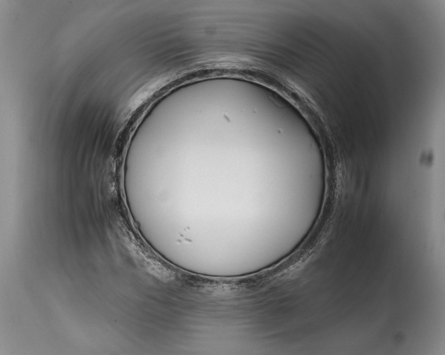 X0000114560970200911091214
