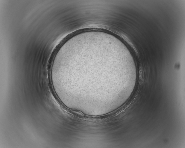 X0000114560972200911091214