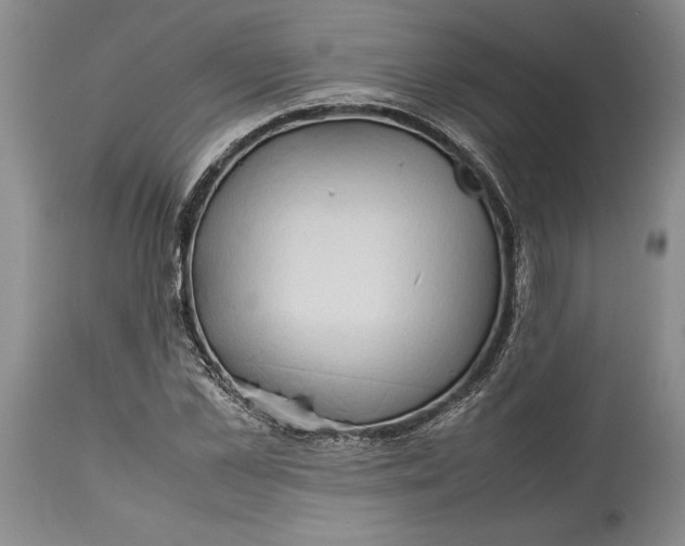 X0000114560973200911091214