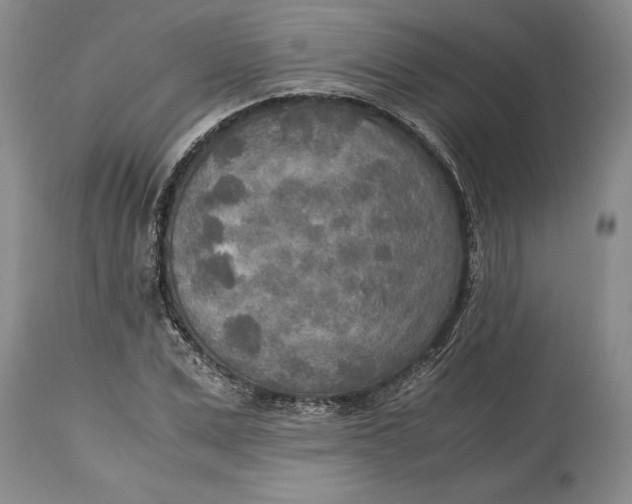X0000114560975200911091214