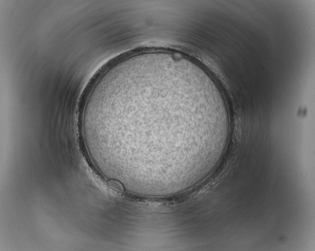 X0000114560976200911091214