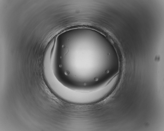 X0000114560977200911091214