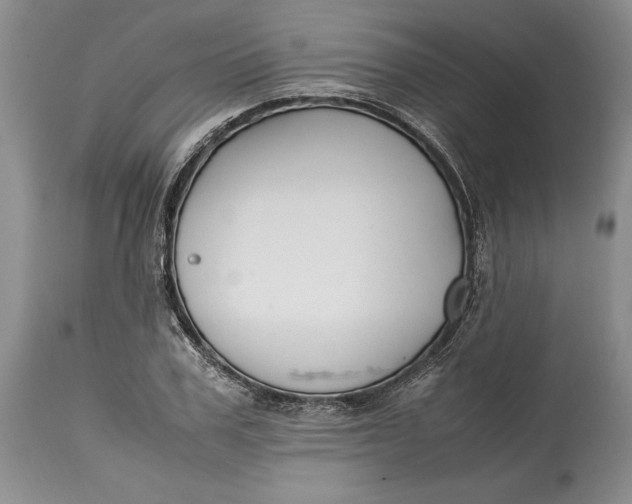 X0000114560979200911091214