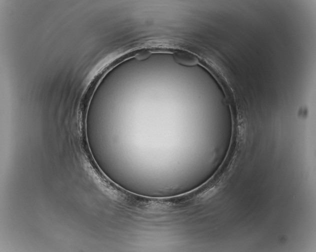 X0000114560981200911091214