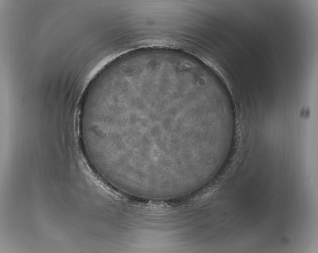 X0000114560983200911091214