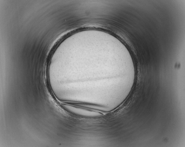 X0000114560984200911091214