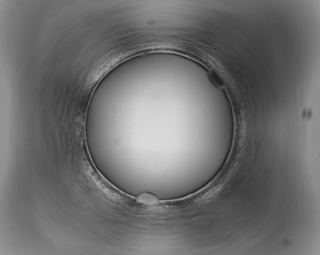 X0000114560985200911091214