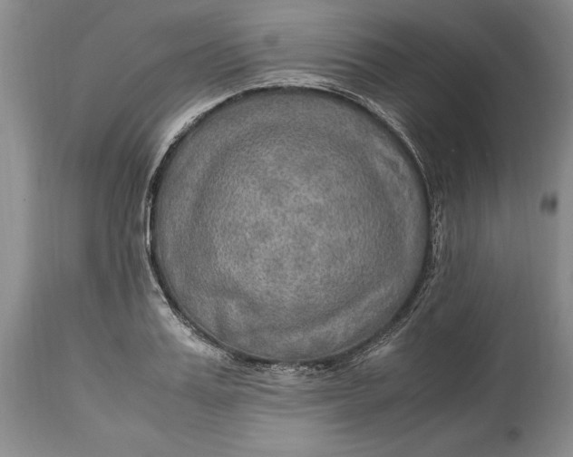 X0000114560987200911091214