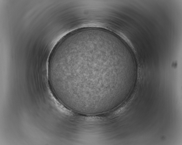 X0000114560988200911091214