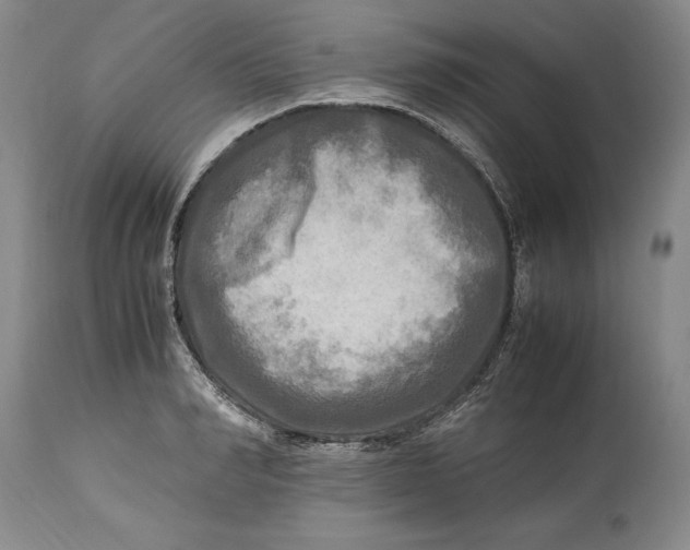 X0000114560990200911091214