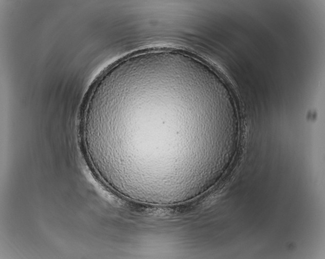 X0000114560991200911091214