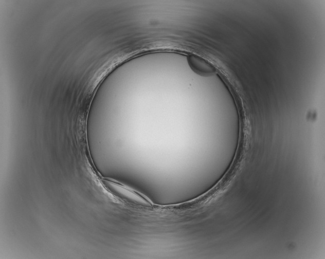 X0000114560993200911091214