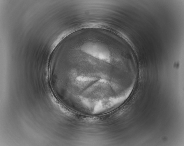 X0000114560994200911091214