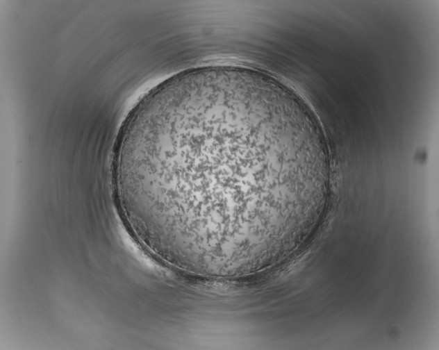 X0000114560995200911091214