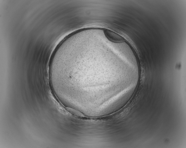 X0000114560996200911091214