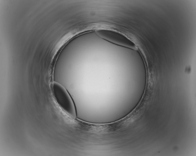 X0000114560997200911091214