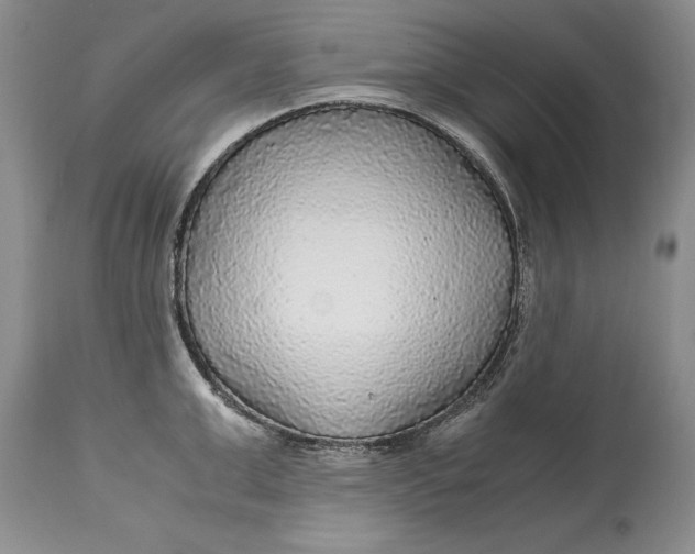 X0000114560999200911091214