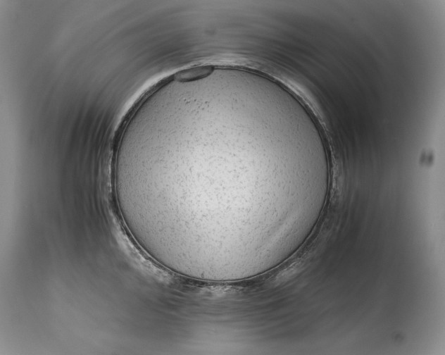 X0000114561000200911091214