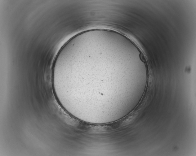 X0000114561004200911091214
