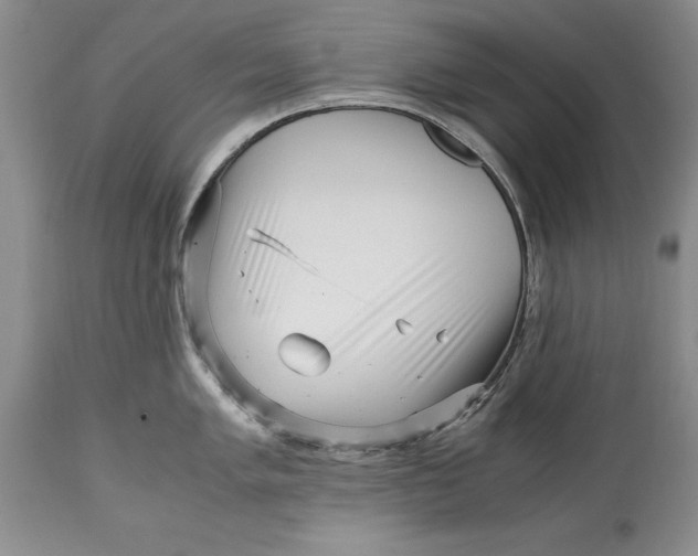 X0000114561005200911091214