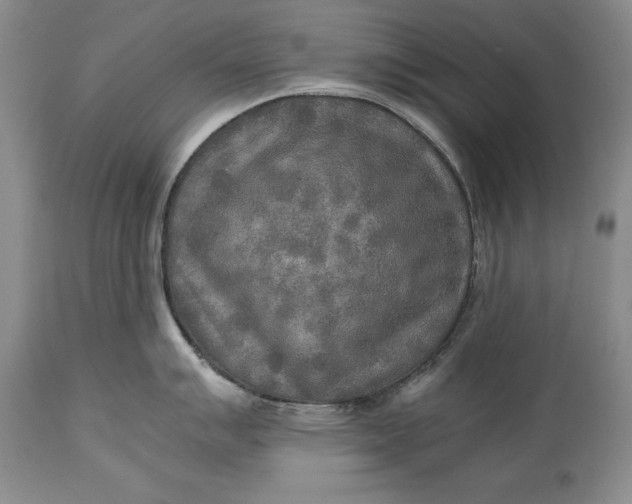 X0000114561007200911091214