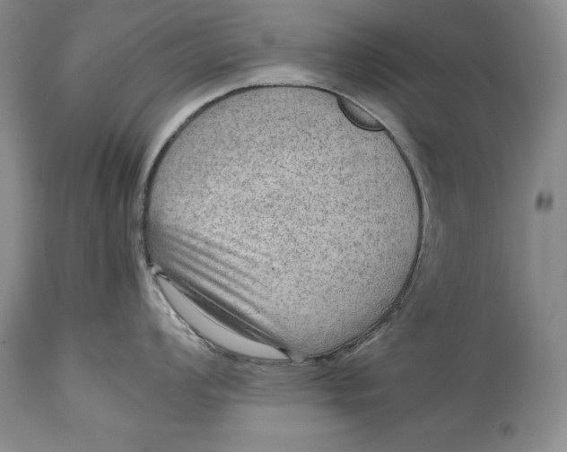 X0000114561008200911091214