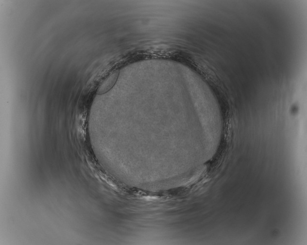 X0000114561010200911091213