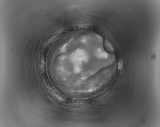 X0000114561011200911091213